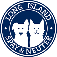 Long Island Spay and Neuter